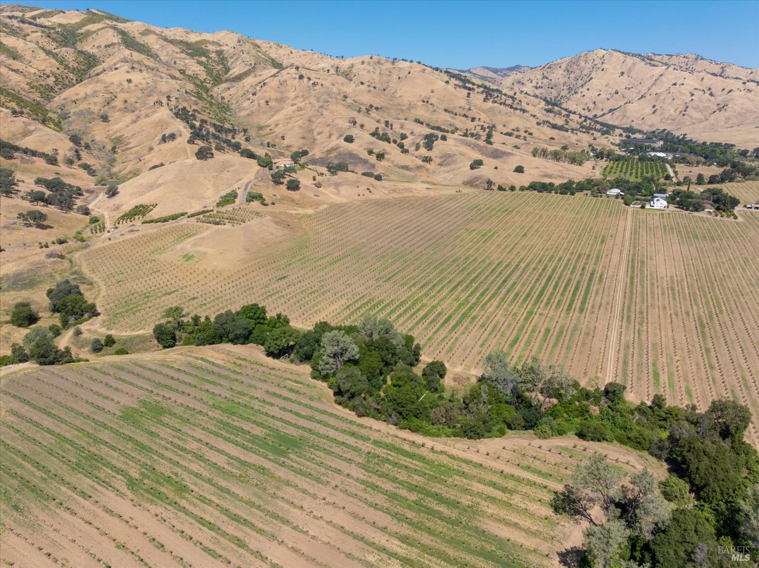 3442 Sackett Lane Winters CA 95694