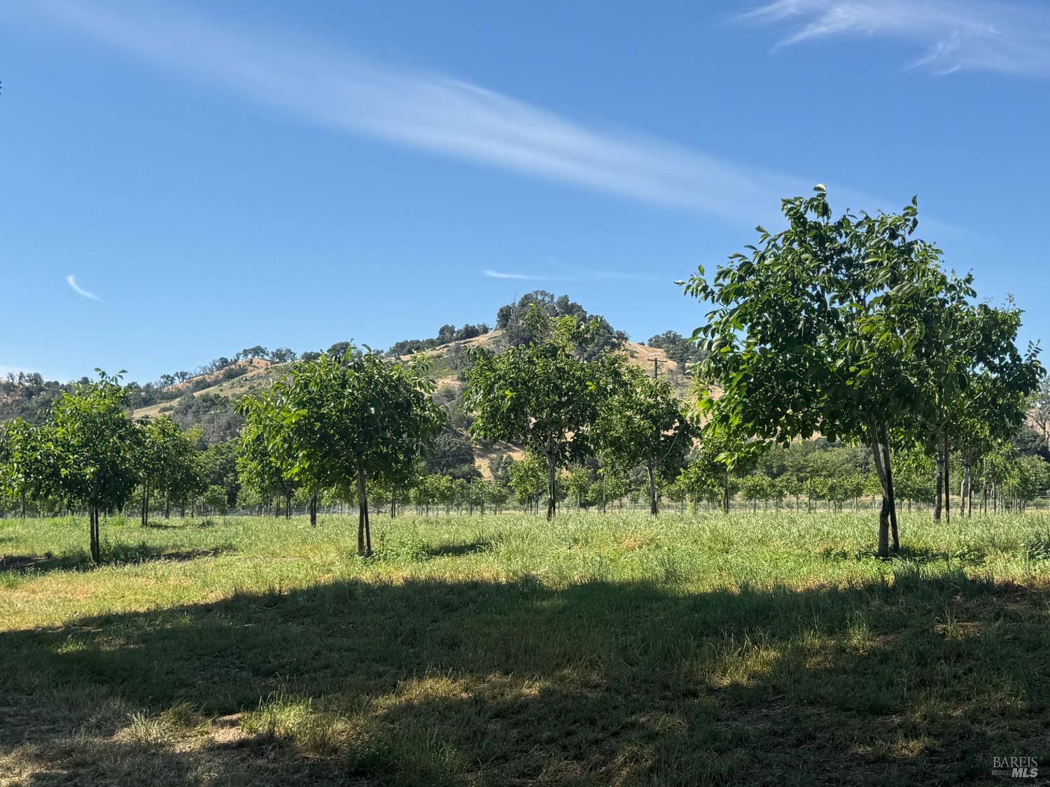 3442 Sackett Lane Winters CA 95694