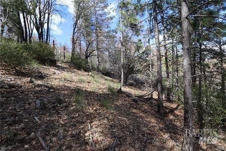 11256 Loch Lomond Road Loch Lomond CA 95461