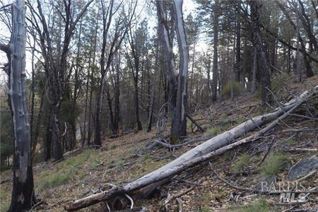 11256 Loch Lomond Road Loch Lomond CA 95461