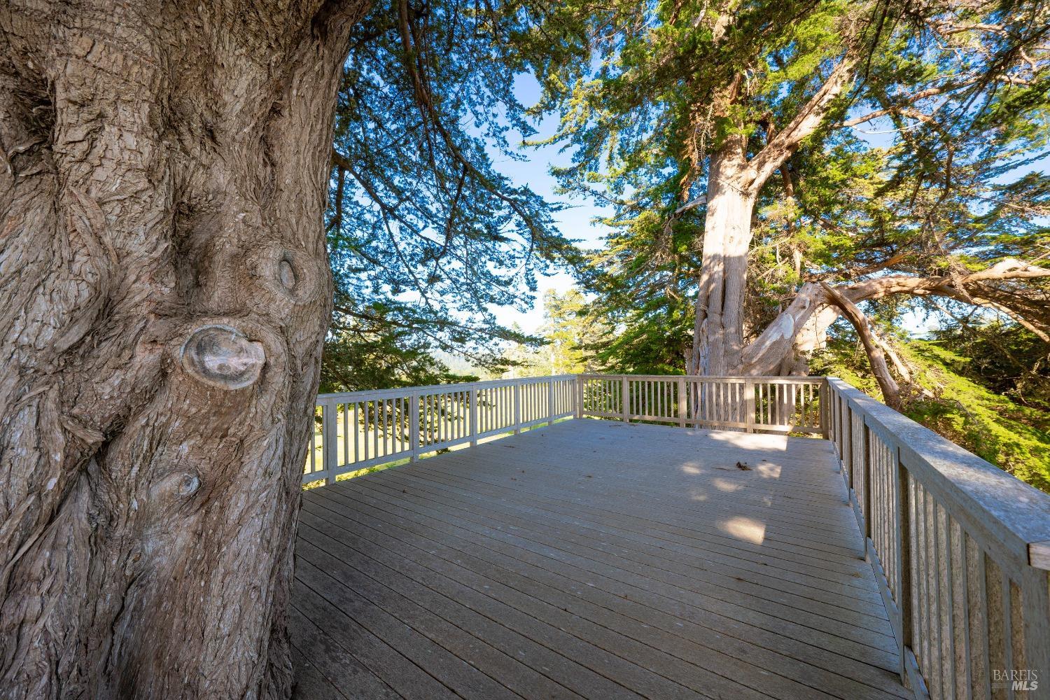32550 Navarro Ridge Road Albion CA 95410