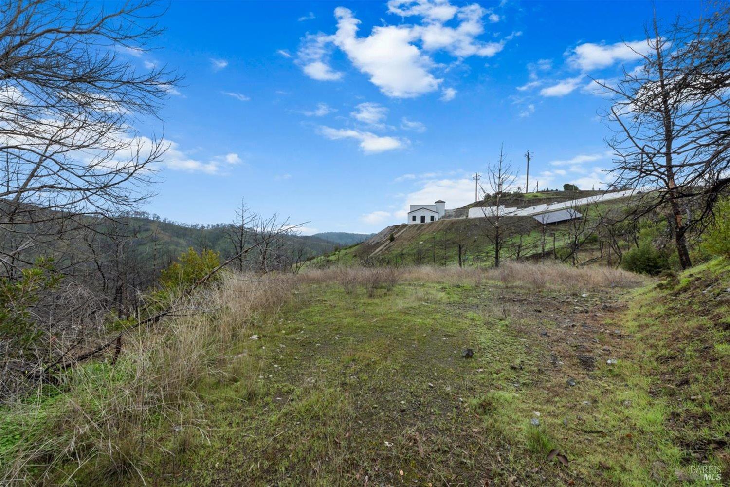 8 Live Oak Lane Napa CA 94558