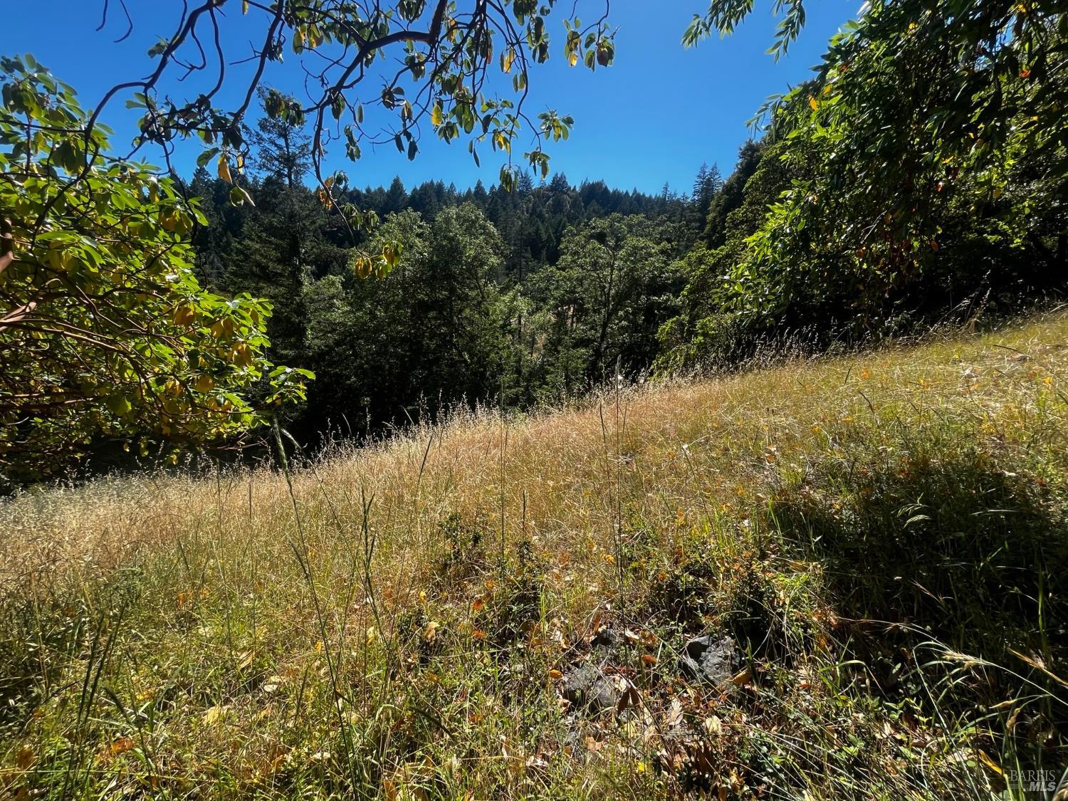 3271 Primrose Drive Willits CA 95490