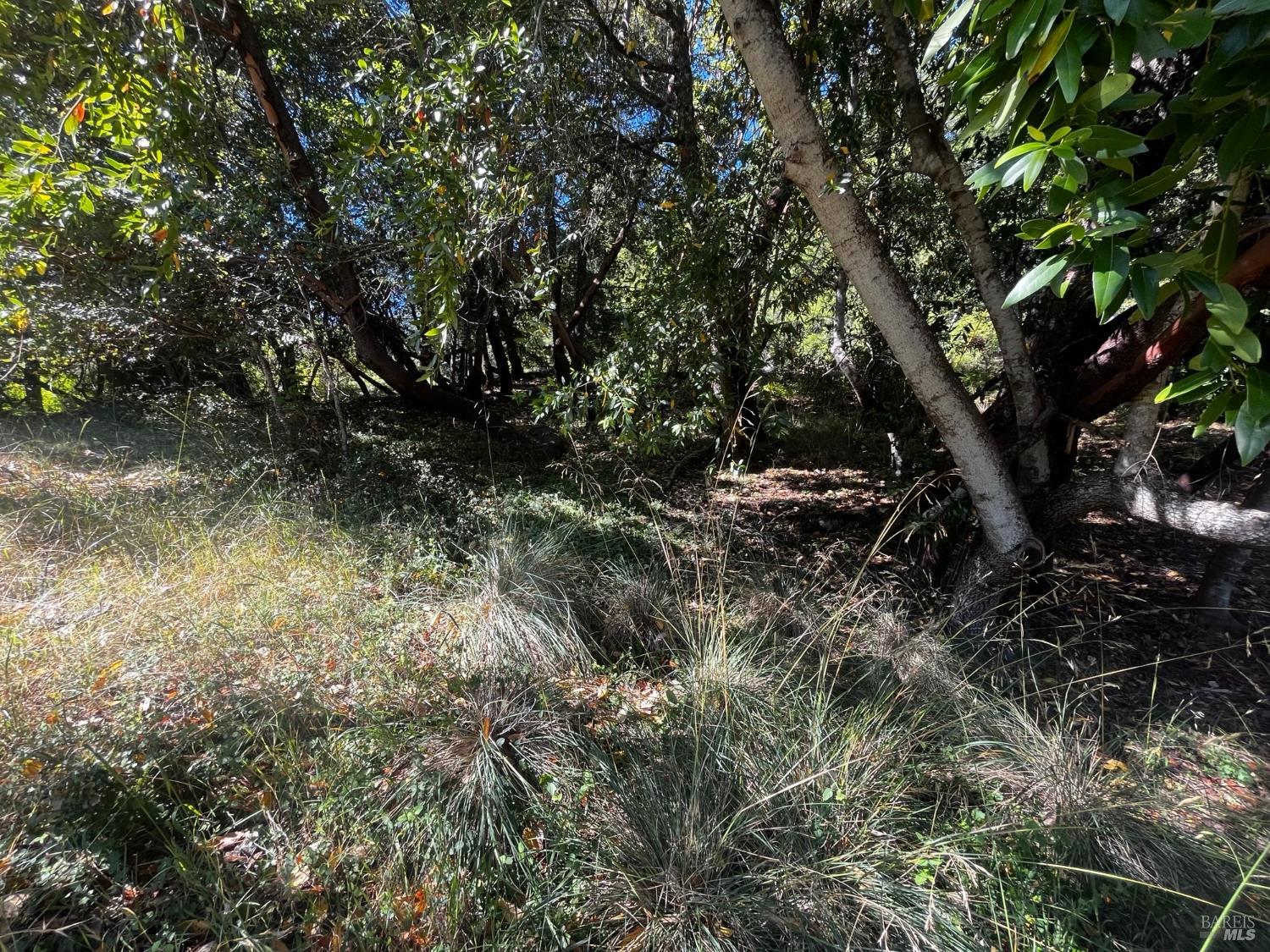 3271 Primrose Drive Willits CA 95490