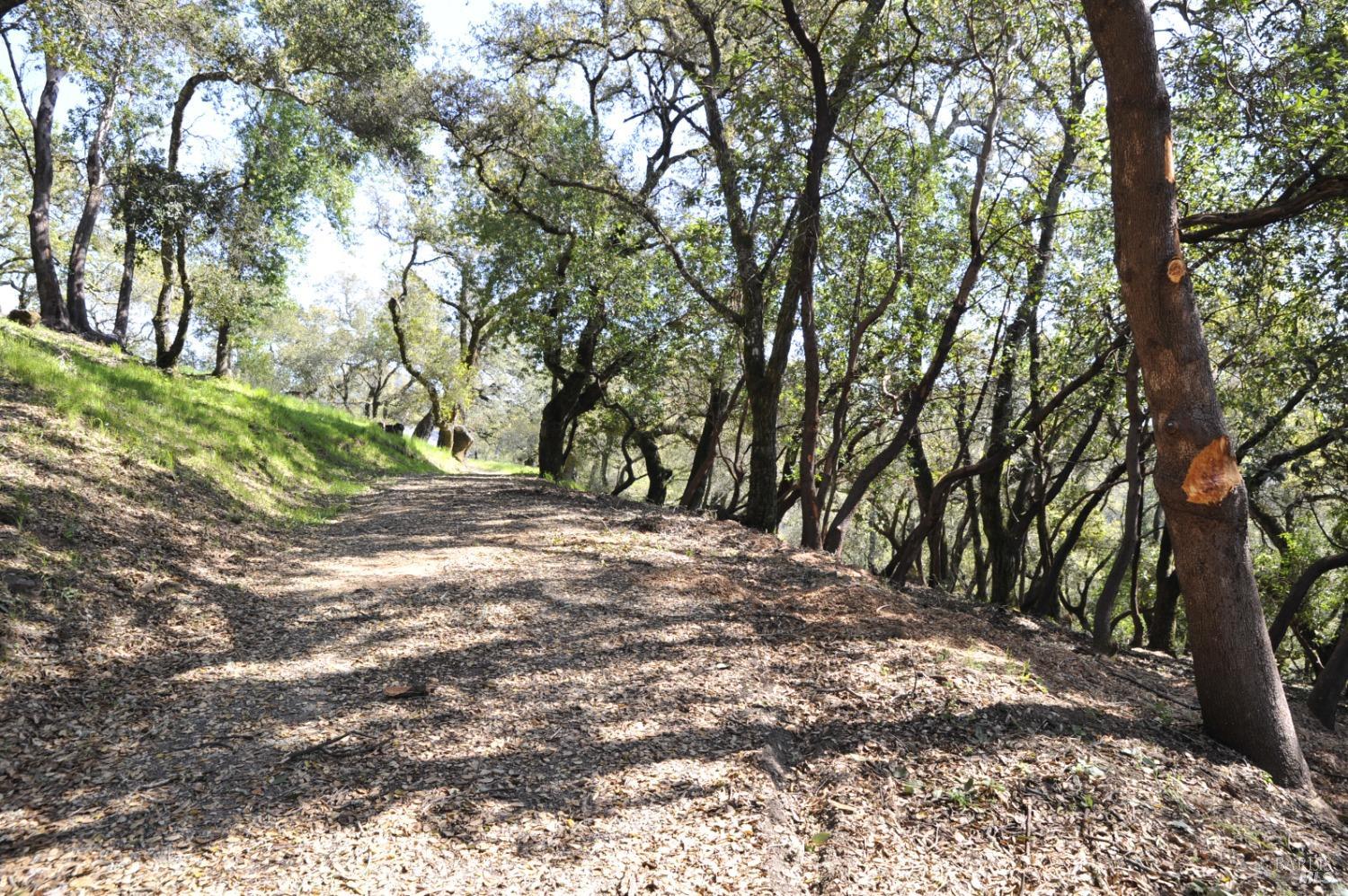 279-283 Clear Ridge Drive Healdsburg CA 95448