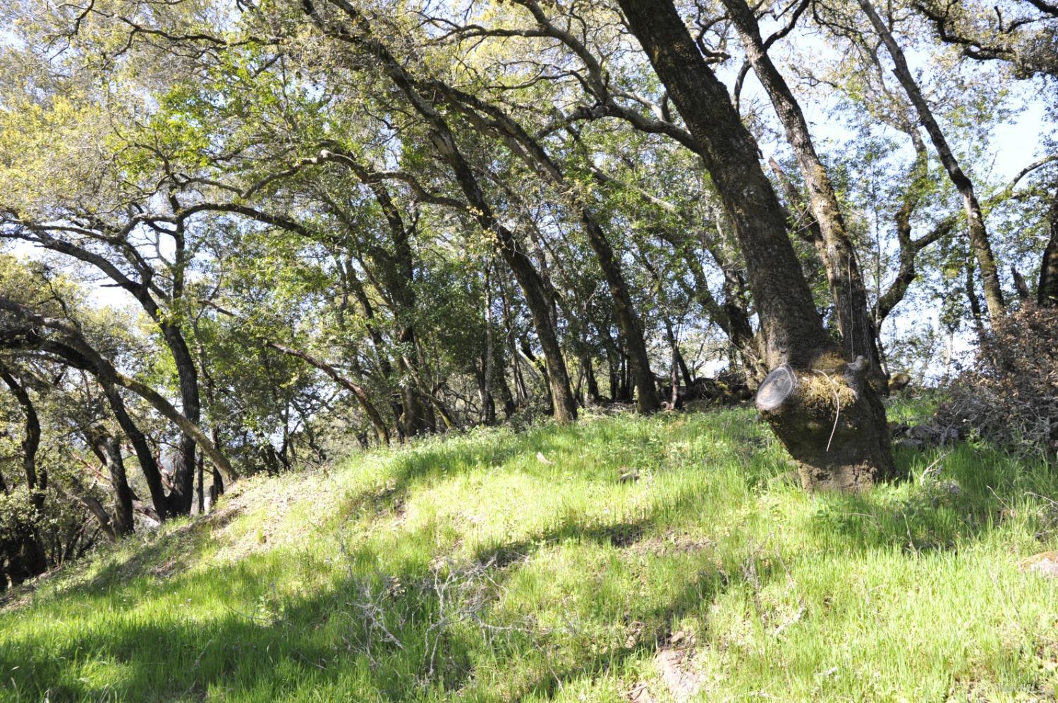 279-283 Clear Ridge Drive Healdsburg CA 95448