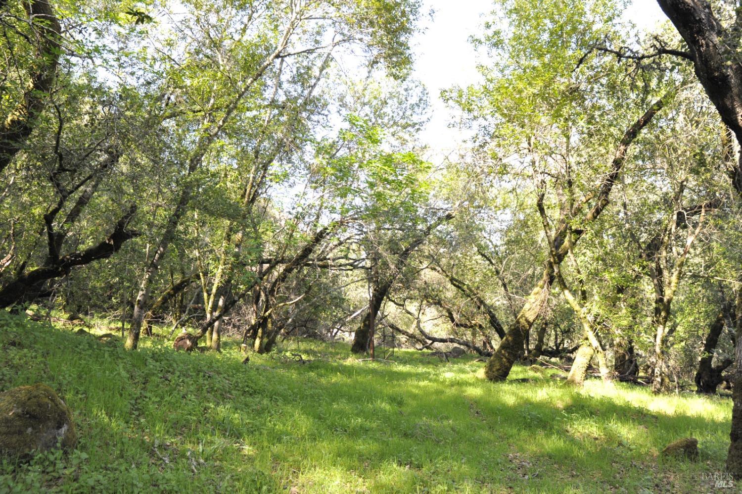 279-283 Clear Ridge Drive Healdsburg CA 95448