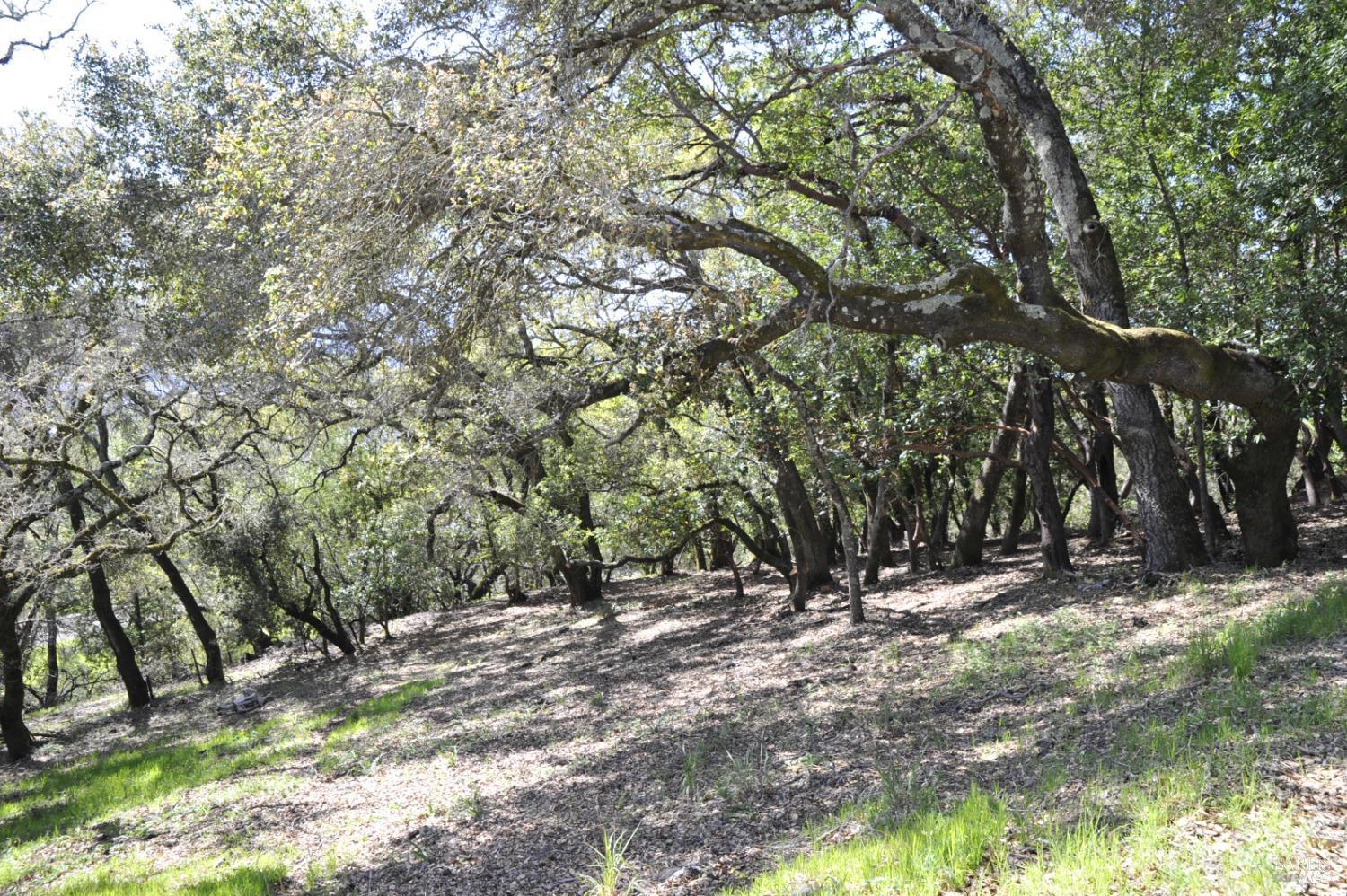 279-283 Clear Ridge Drive Healdsburg CA 95448