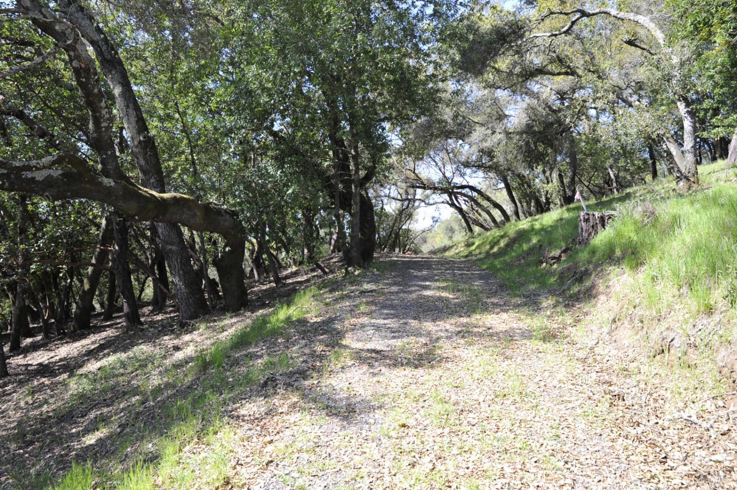 279-283 Clear Ridge Drive Healdsburg CA 95448