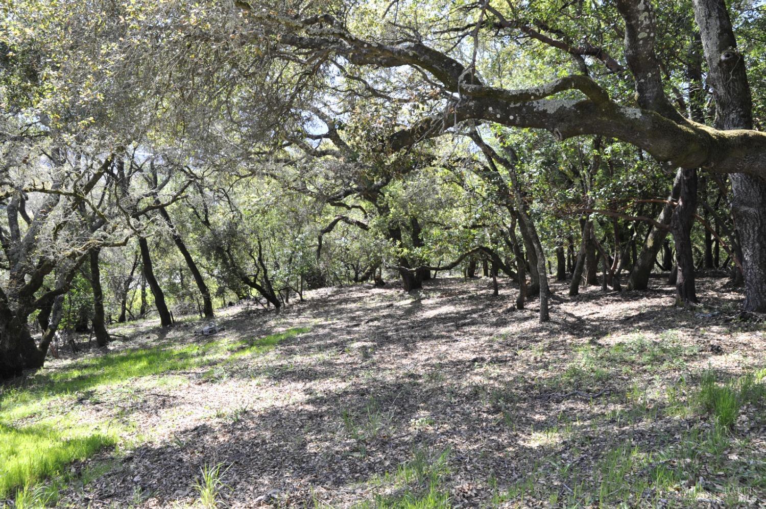 279-283 Clear Ridge Drive Healdsburg CA 95448