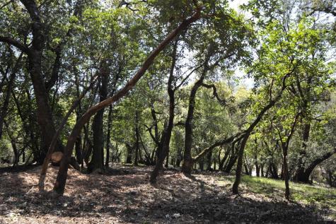 279-283 Clear Ridge Drive Healdsburg CA 95448