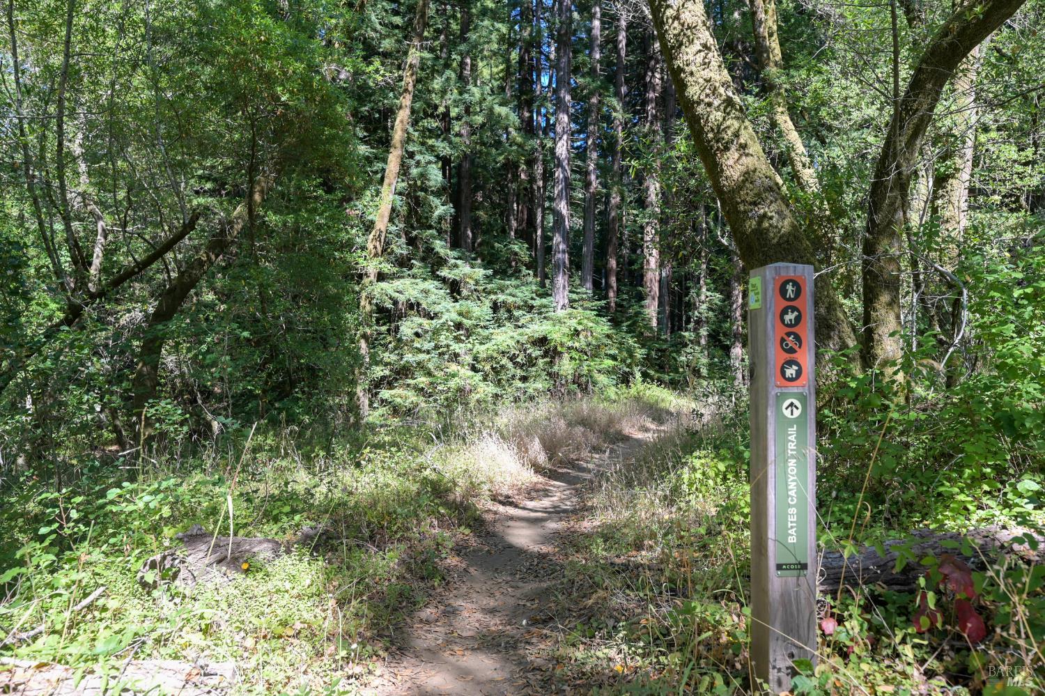 5 Meadow View Lane San Geronimo CA 94963