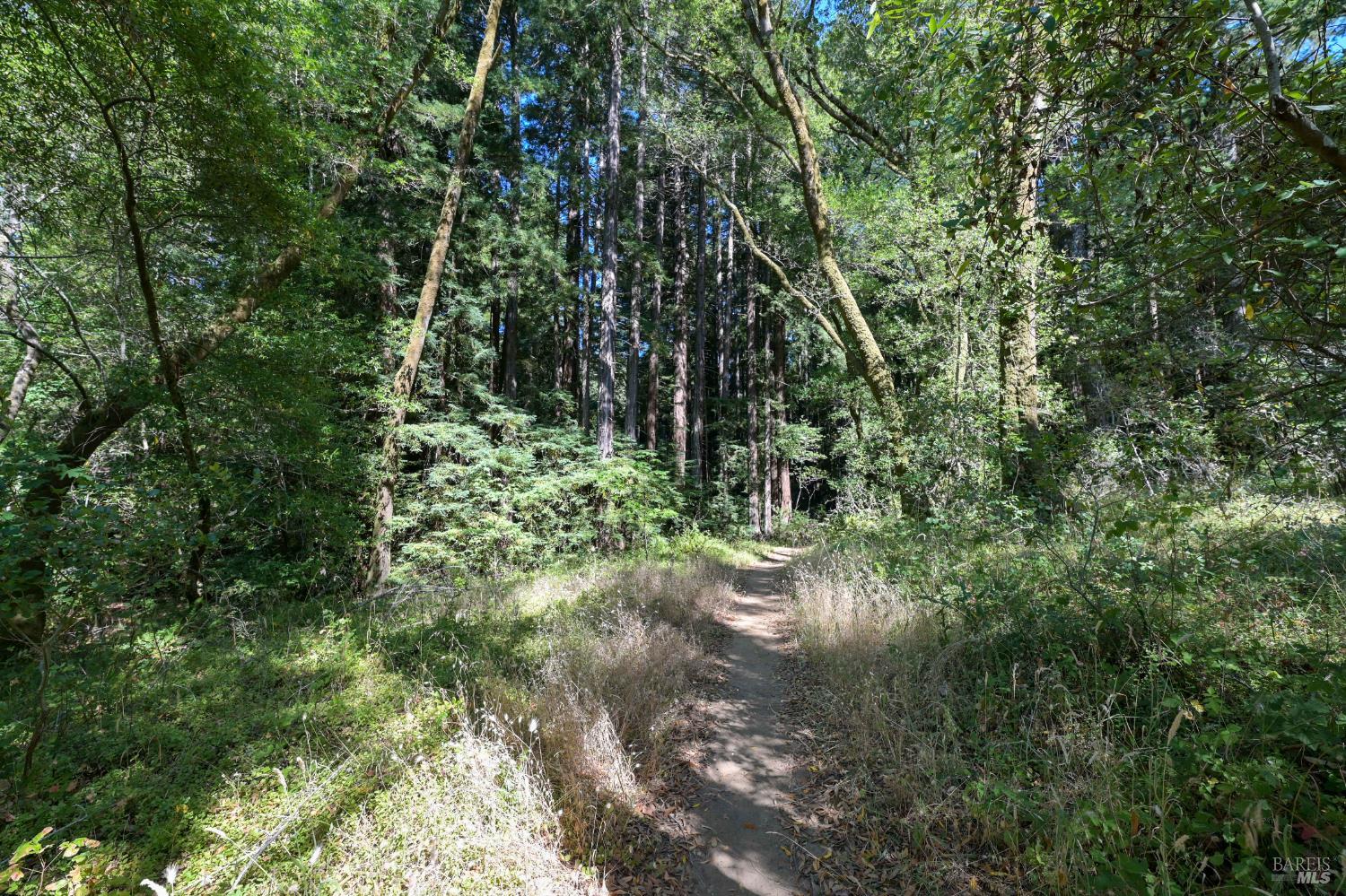 5 Meadow View Lane San Geronimo CA 94963
