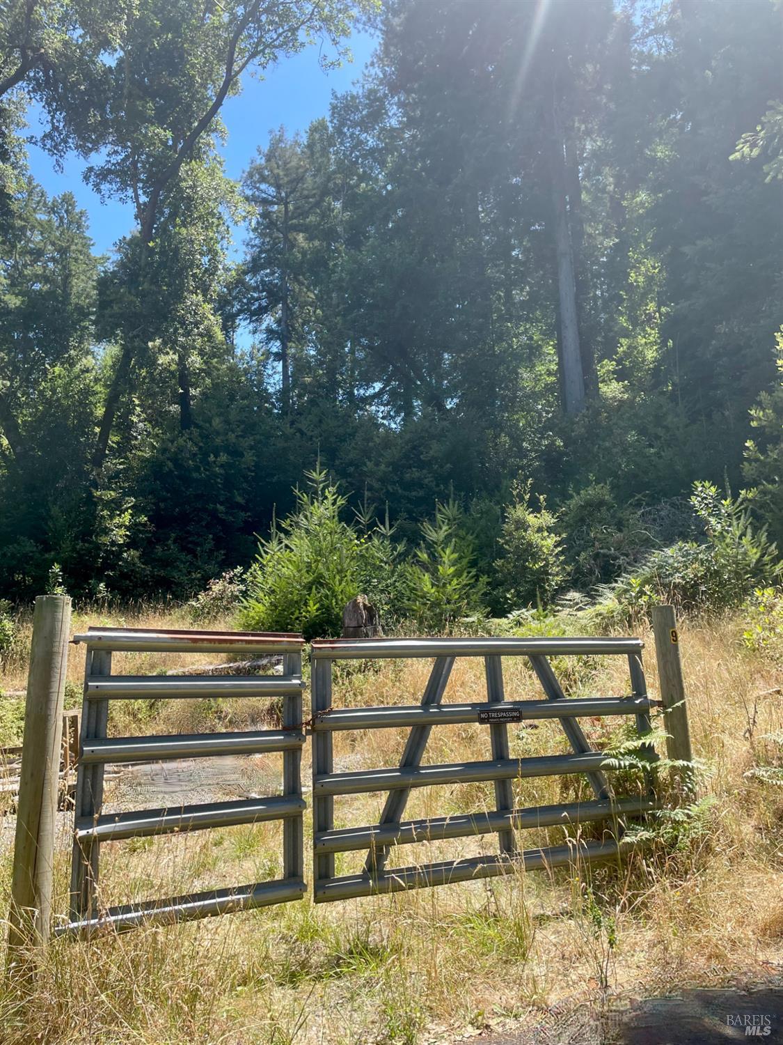 5 Meadow View Lane San Geronimo CA 94963