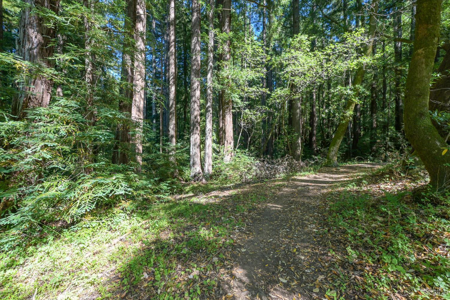 5 Meadow View Lane San Geronimo CA 94963