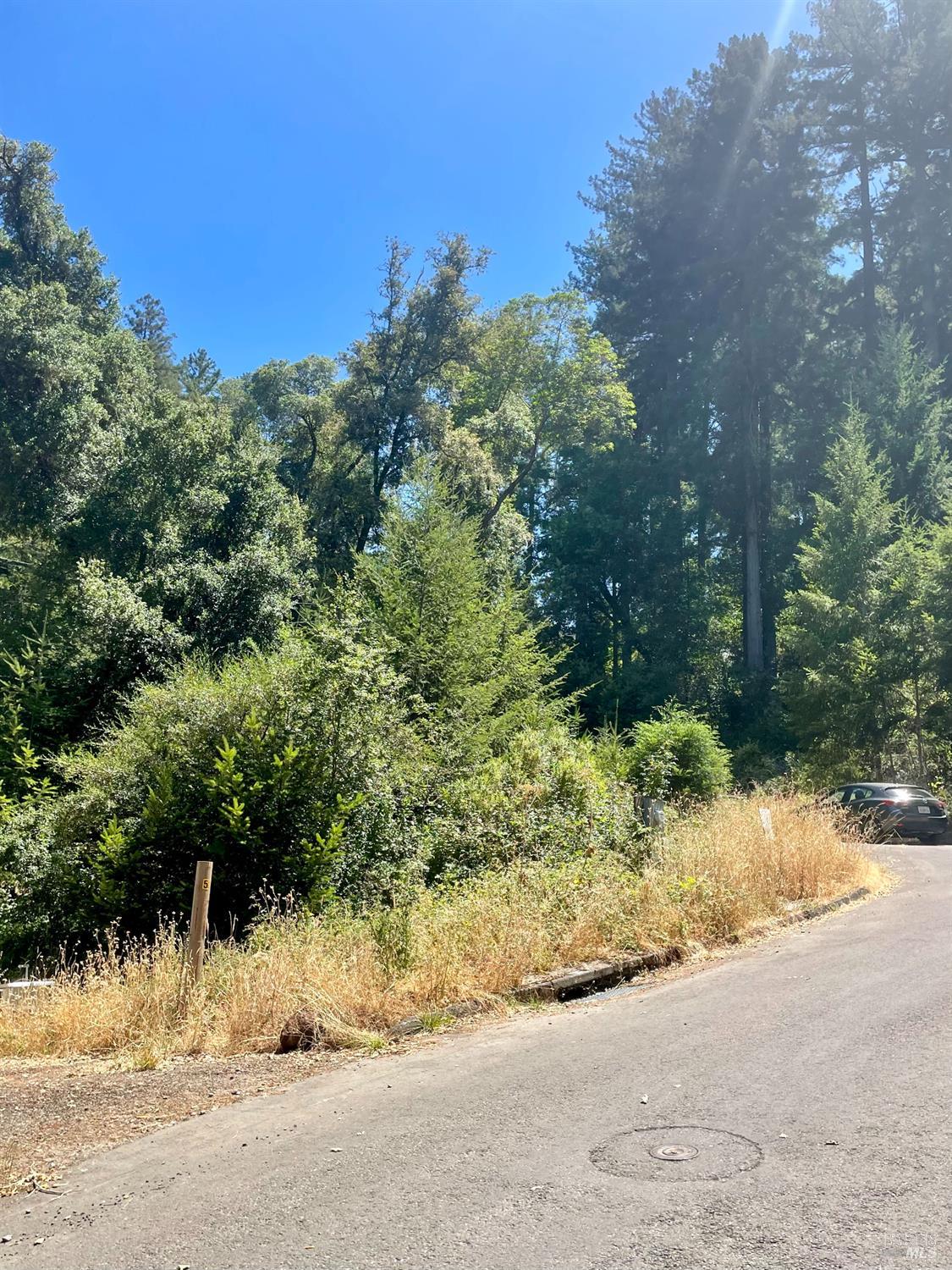 5 Meadow View Lane San Geronimo CA 94963