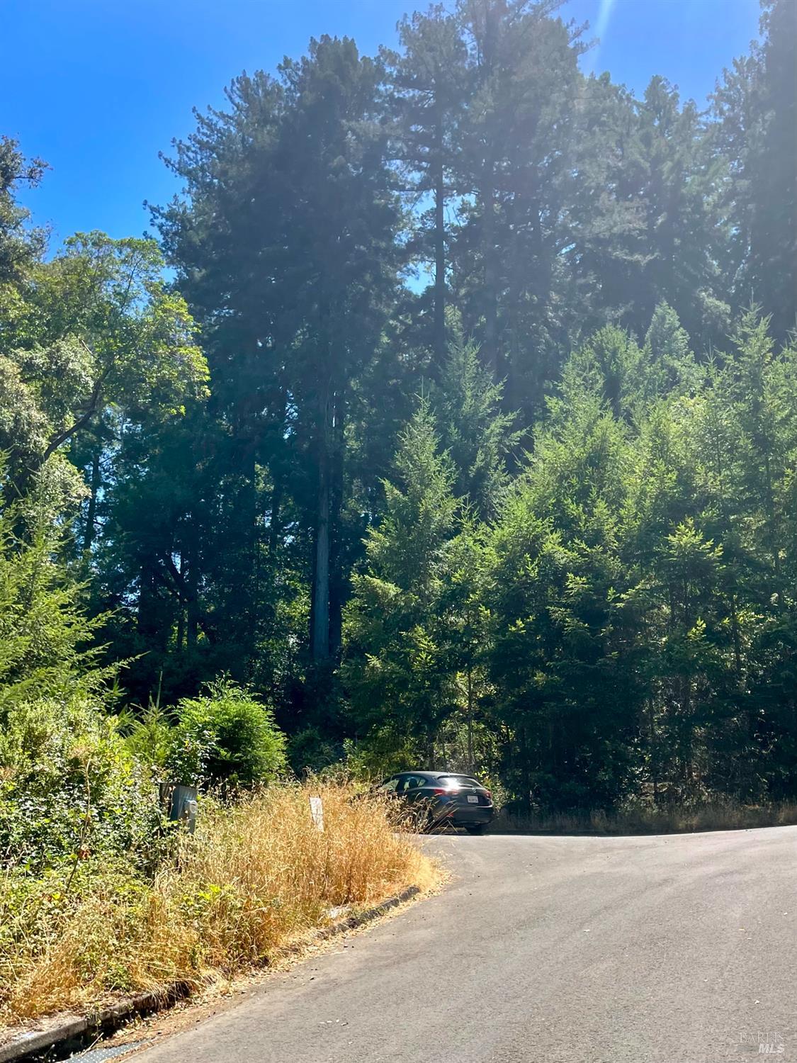 5 Meadow View Lane San Geronimo CA 94963