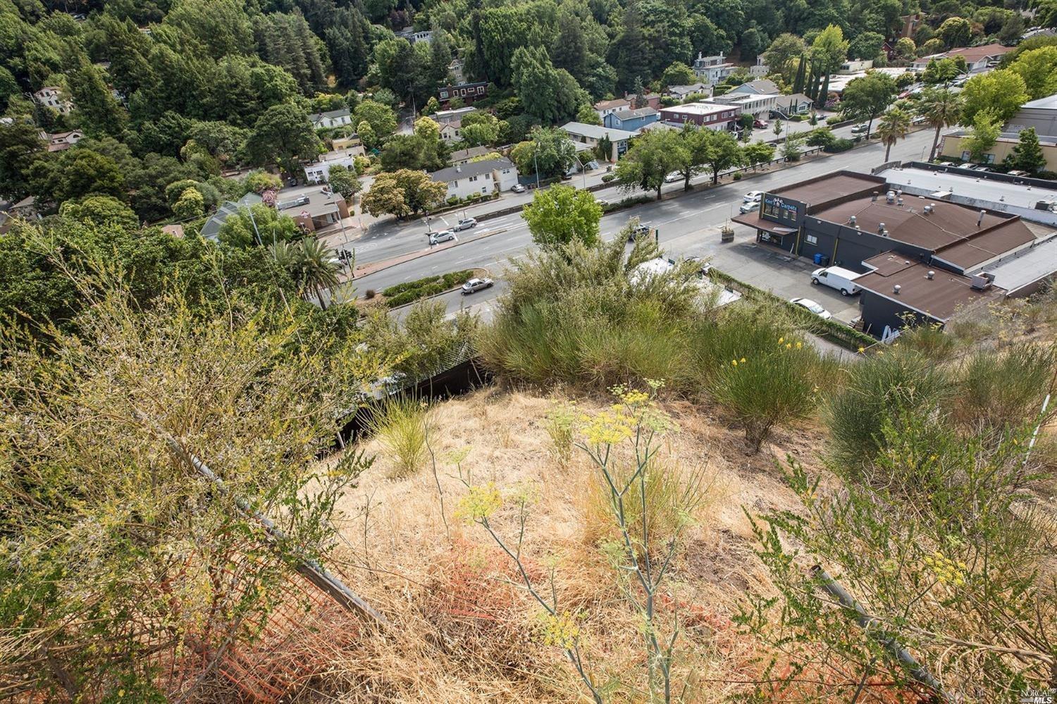 51 El Camino Avenue San Rafael CA 94901