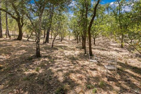 7250 Hwy 116 Highway Forestville CA 95436