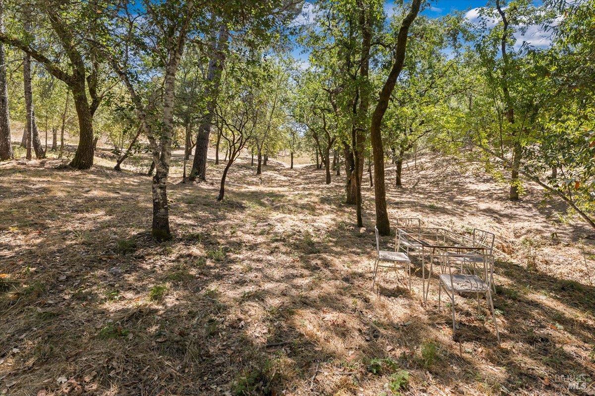 7250 Hwy 116 Highway Forestville CA 95436
