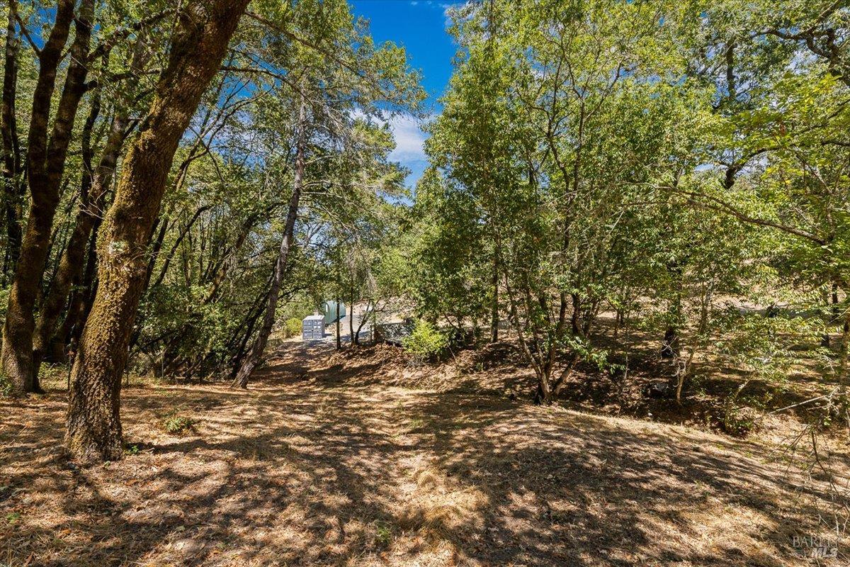 7250 Hwy 116 Highway Forestville CA 95436