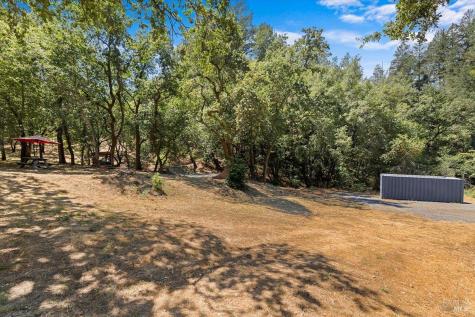 7250 Hwy 116 Highway Forestville CA 95436