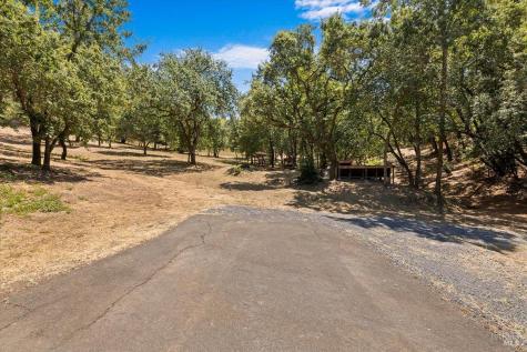 7250 Hwy 116 Highway Forestville CA 95436