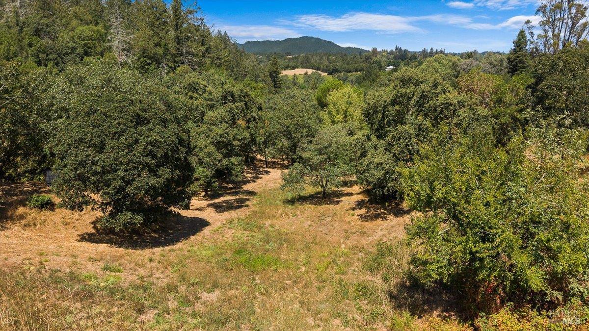 7250 Hwy 116 Highway Forestville CA 95436