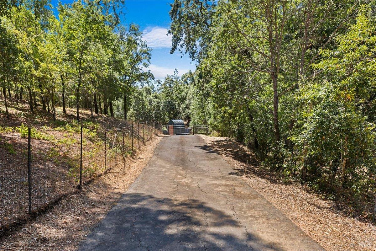 7250 Hwy 116 Highway Forestville CA 95436