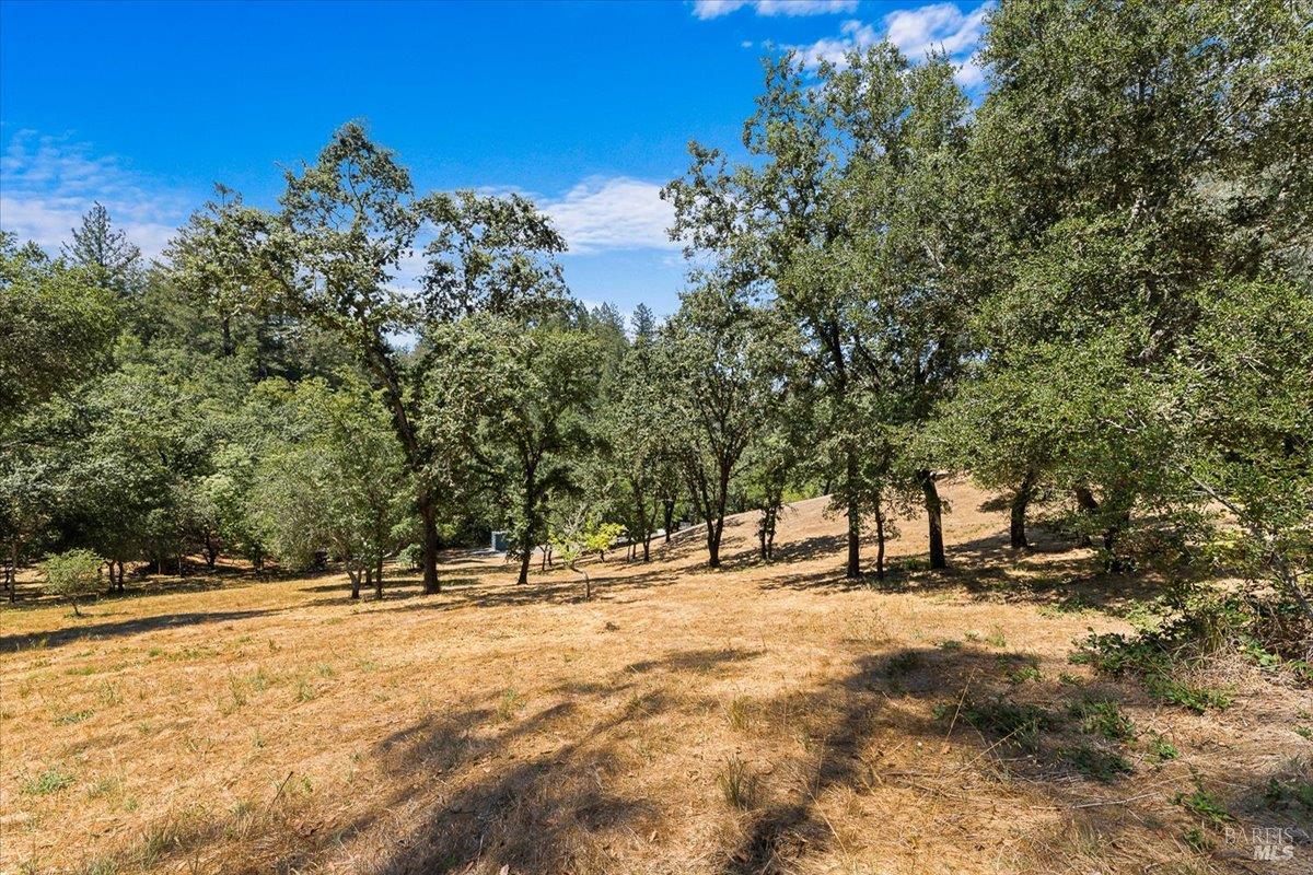 7250 Hwy 116 Highway Forestville CA 95436