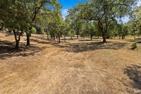 7250 Hwy 116 Highway Forestville CA 95436