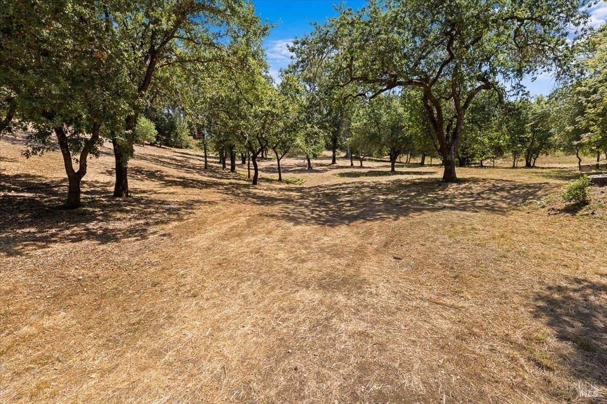 7250 Hwy 116 Highway Forestville CA 95436