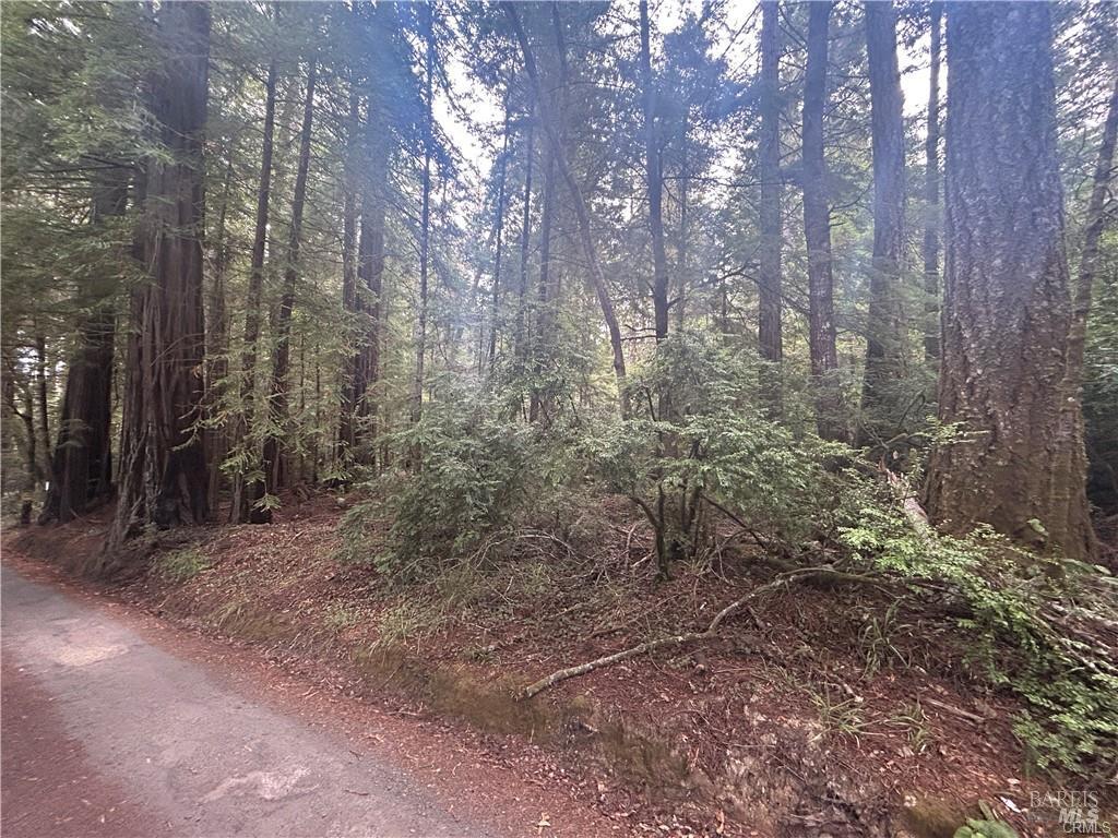 0 Law Road Mendocino CA 95460