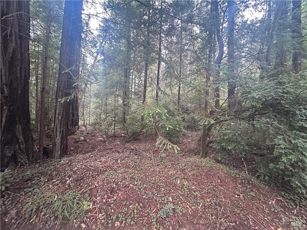 0 Law Road Mendocino CA 95460
