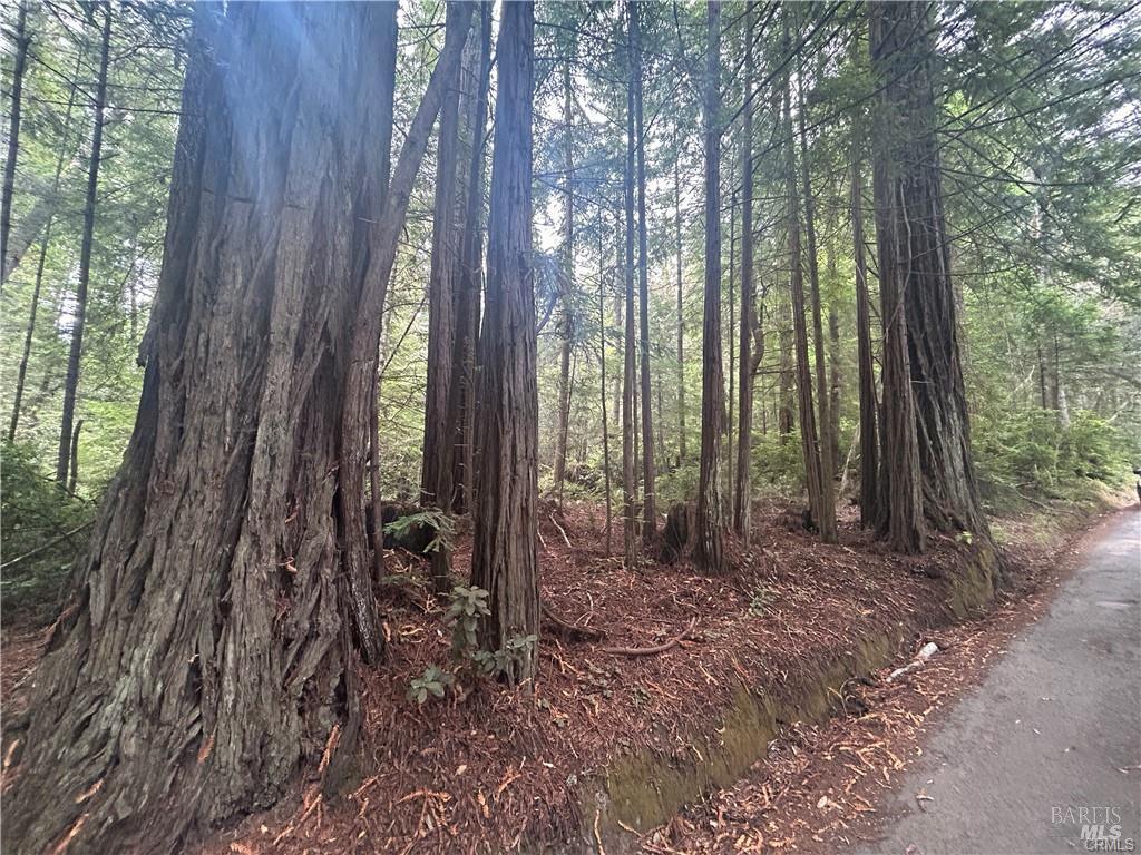 0 Law Road Mendocino CA 95460