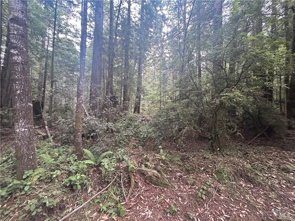 0 Law Road Mendocino CA 95460