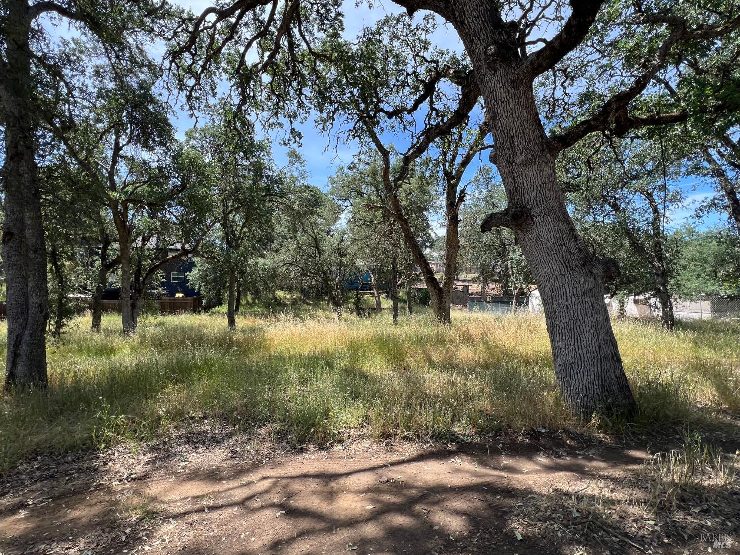 16219 36th Avenue Clearlake CA 95422
