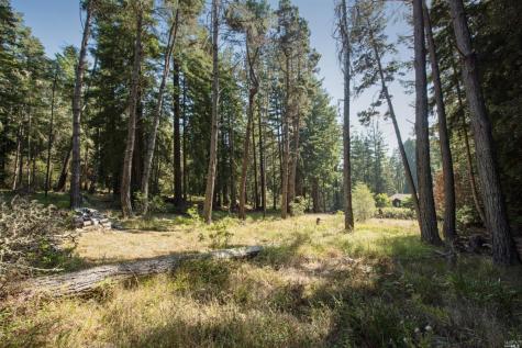 22103 Umland Circle Jenner CA 95450