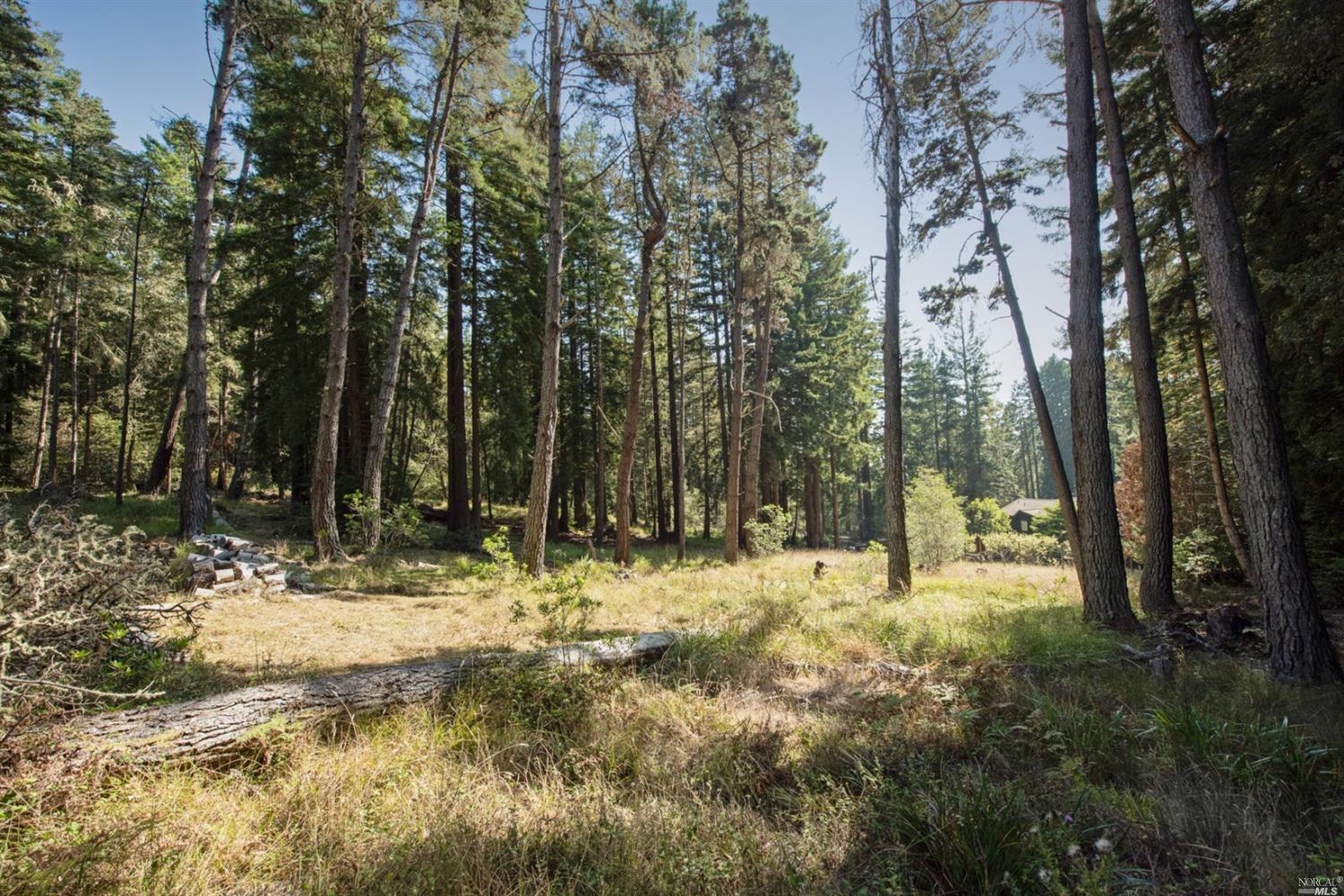 22103 Umland Circle Jenner CA 95450