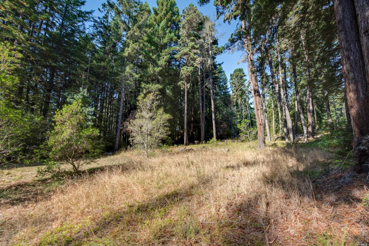 22103 Umland Circle Jenner CA 95450