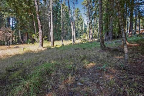 22103 Umland Circle Jenner CA 95450