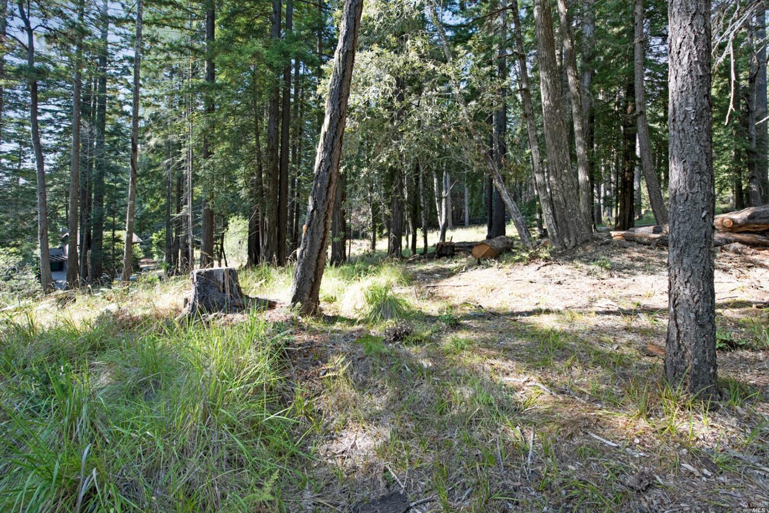 22103 Umland Circle Jenner CA 95450