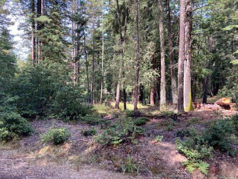 22103 Umland Circle Jenner CA 95450