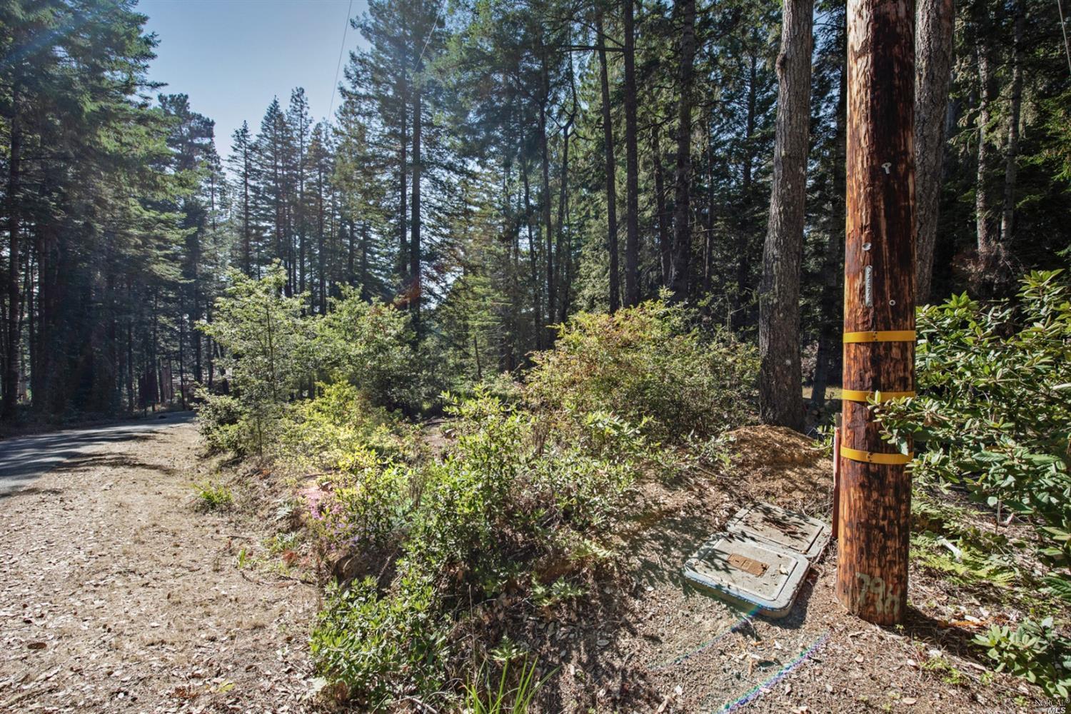 22103 Umland Circle Jenner CA 95450