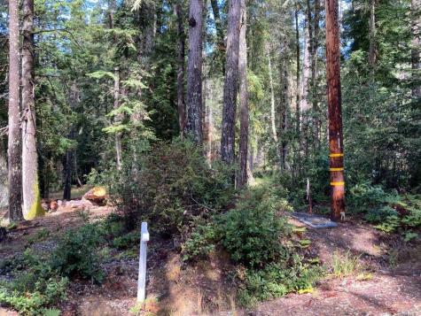 22103 Umland Circle Jenner CA 95450