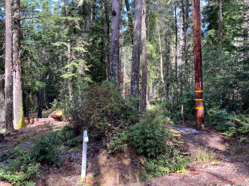 22103 Umland Circle Jenner CA 95450