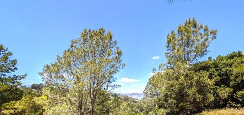 0 Paradise Glen Tiburon CA 94920