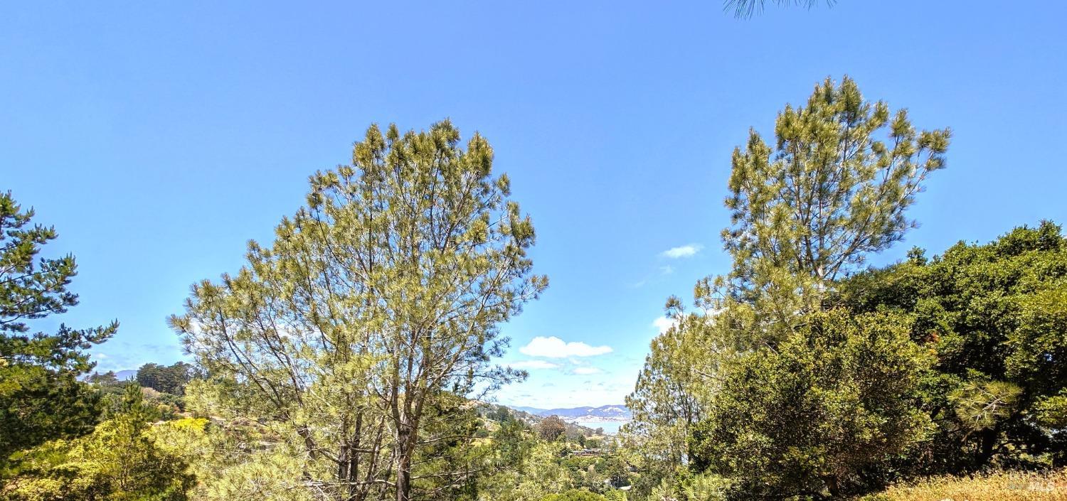 0 Paradise Glen Tiburon CA 94920