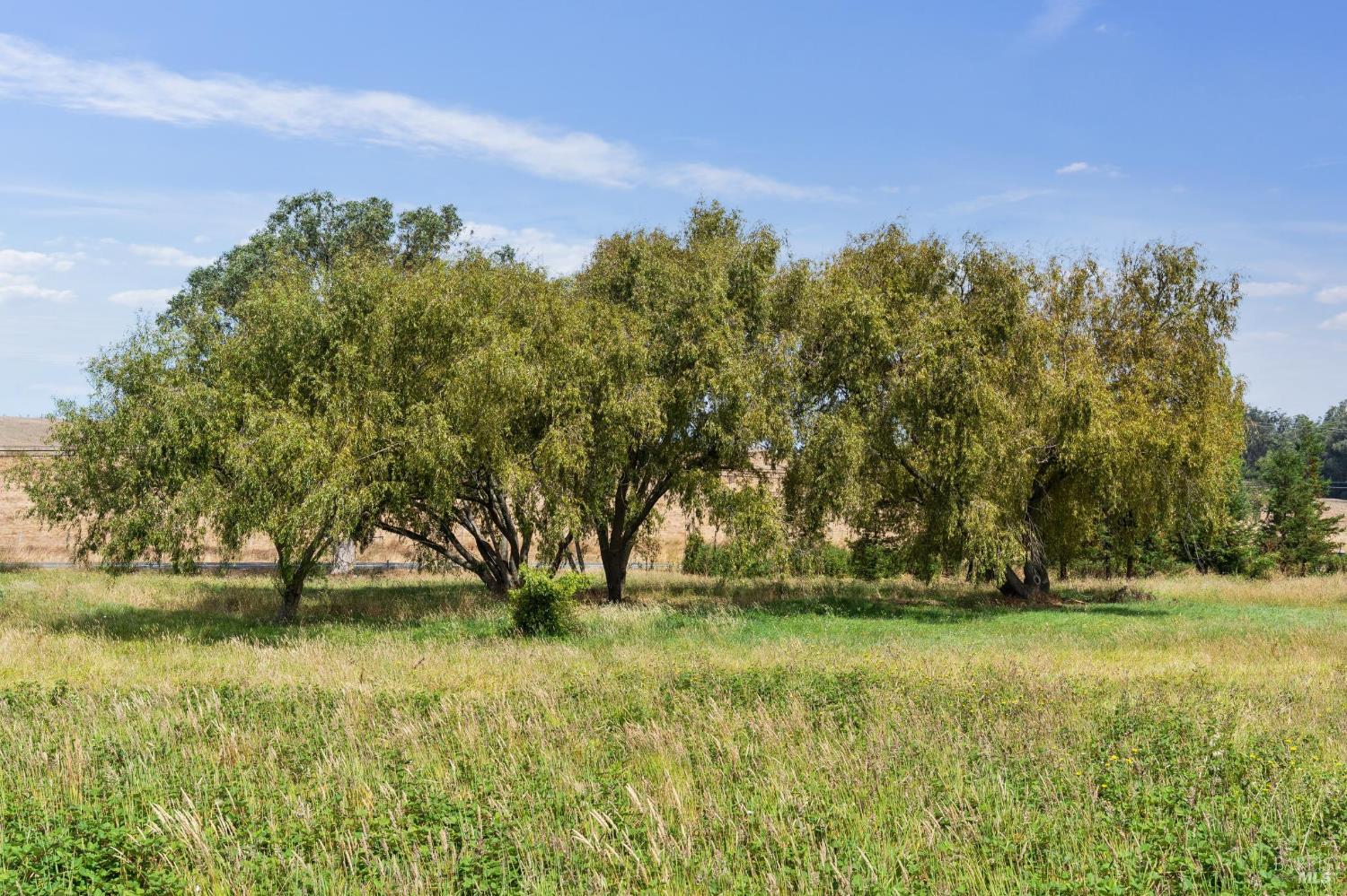 6157 Bodega Avenue Petaluma CA 94952