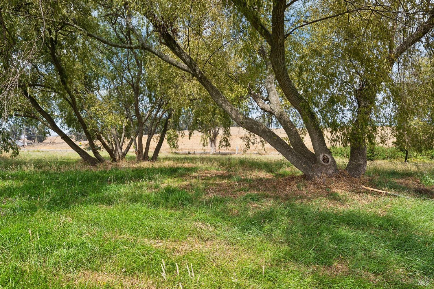 6157 Bodega Avenue Petaluma CA 94952